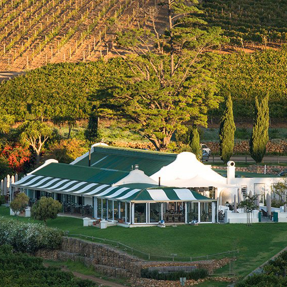 Toast to Ten: An Intimate Gathering Ahead of the 10-Year Summit